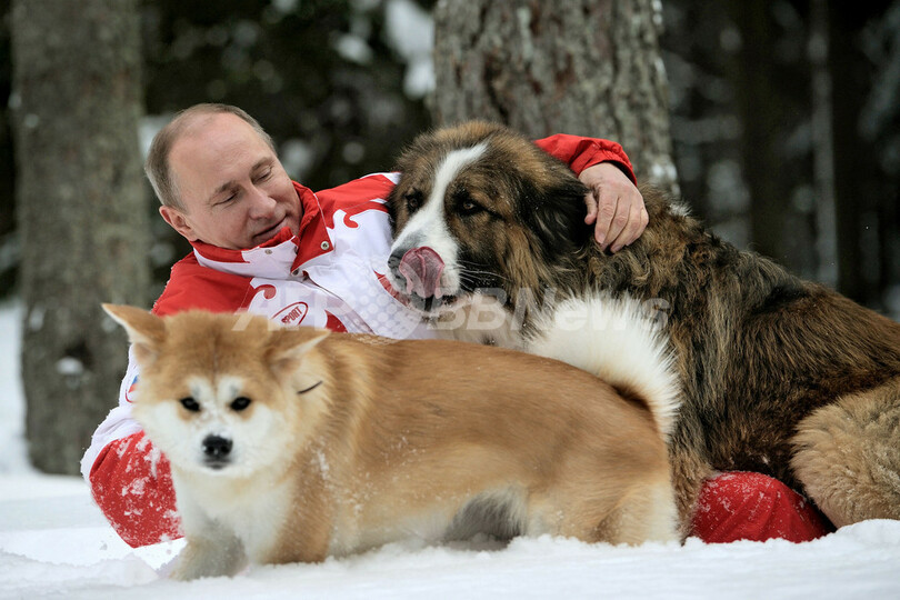 プーチンと秋田犬