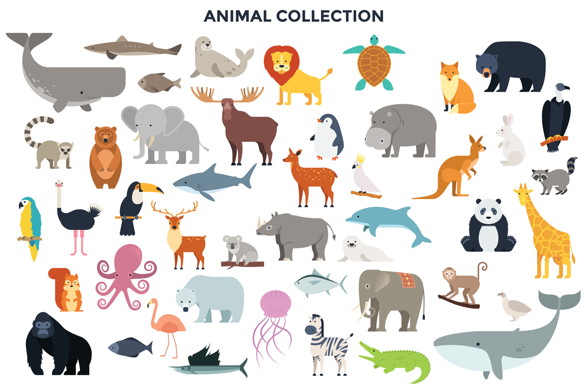 野生のジャングル、サバンナ、森の動物、鳥、海洋哺乳類、魚の大きなコレクション。